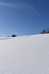 Fototapeta na wymiar A snowy field under a blue sky, Sainte-Apolline, Québec, Canada
