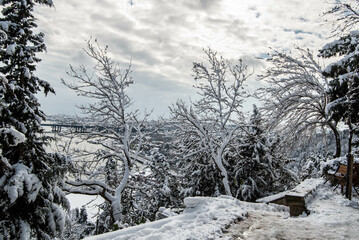 istanbul city snow winter panorama nature