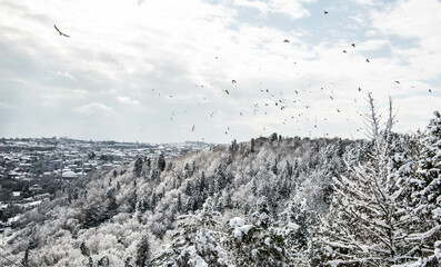 istanbul city snow winter panorama nature
