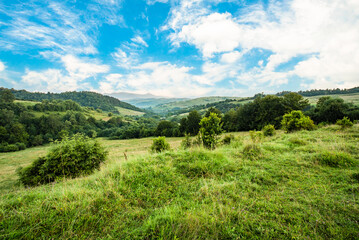 hills covered with grass on a background of trees and mountains with blue sky with white clouds on a summer day. Nature landscape.