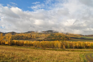 Fototapeta premium Golden autumn in Altai. Autumn foggy morning in the Altai mountains. Yellow trees, blue sky.