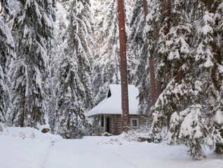 wooden cottage in a winter fairytale snow forest
