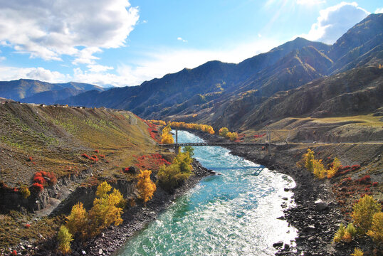 Suspension bridge (Tsaplinsky Bridge) on the Katun River in the Altai Republic near the village of Inya. Katun river in autumn.
