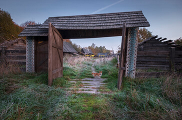 Fototapeta na wymiar dog at the entrance to an abandoned wooden village in autumn