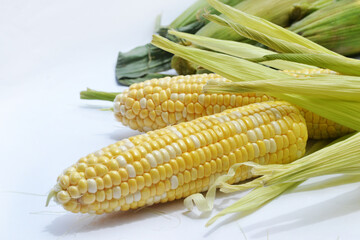 Sweet corn that is still raw and fresh