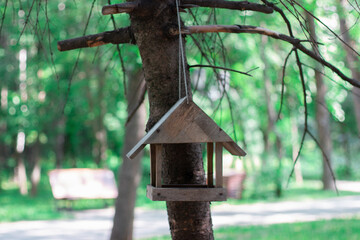 a birdhouse on the pine tree