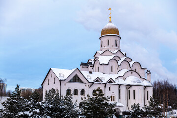 The Temple of Alexander Nevsky.