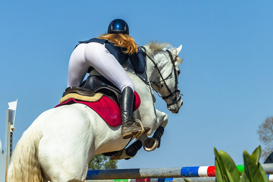 White Horse Woman Rider Jump Pole Blue Sky Rear Photo