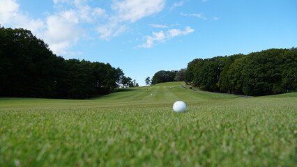 golf course and ball