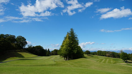 Golf field and blue sky