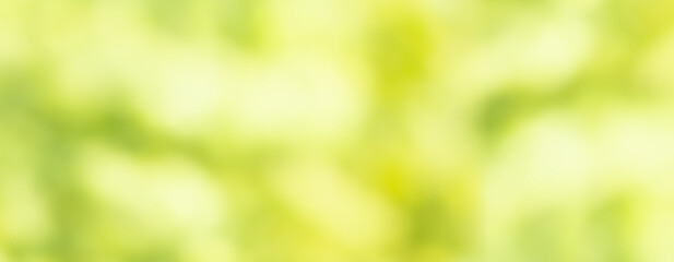 Abstract blurred radiant green background. Horizontal fresh spring background for ecological...