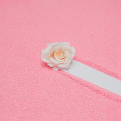 Minimal Valentine or wedding concept with white rose in pastel pink sand. Modern girly aesthetic with copy space.