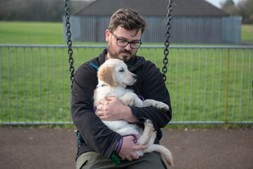 Man in early thirties playing with golden retriver puppy on swings
 in an outdoor park