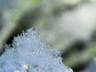 Macro background of fresh snowflake texture