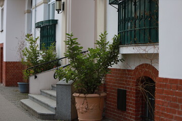 Fototapeta na wymiar facade of a house, tree, green, steps, balcony, building, retro, old, old architecture