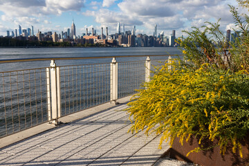 Fototapeta na wymiar Summer Plants and Riverfront at Domino Park in Williamsburg Brooklyn of New York City
