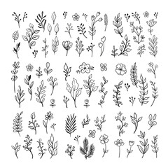 Floral doodle ornaments, hand drawn illustrations of branches and leaves. Nature decorative drawings.