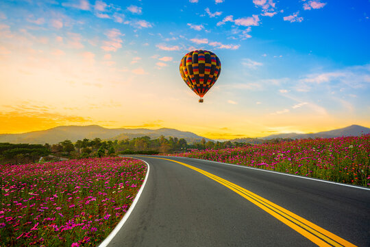Colorful hot air balloon in blue sky over the cosmo flowers and bike lane 