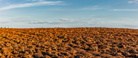 Ackerland mit Blick bis zum Horizont