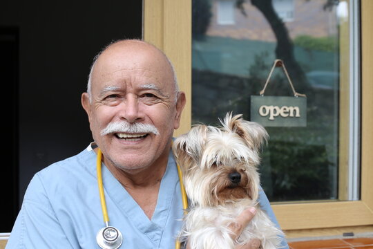 Senior vet welcoming small dog
