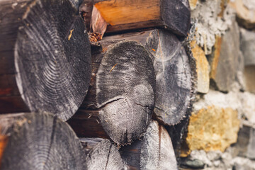 Lots of firewood. Cross-section of logs. Wood texture
