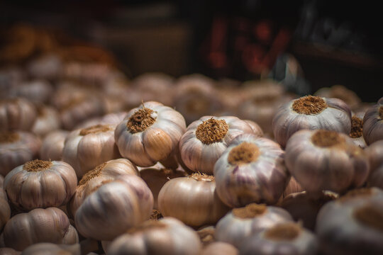 Dramatic garlic