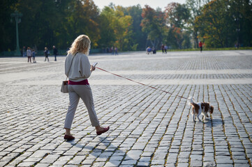 young blonde woman in light casual clothes walks with a Cavalier King Charles Spaniel dog in the...