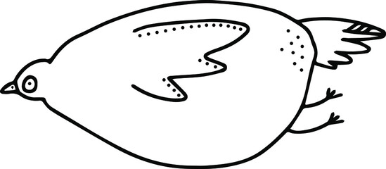 vector illustration cute bird sketch