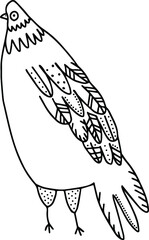 vector illustration cute bird sketch