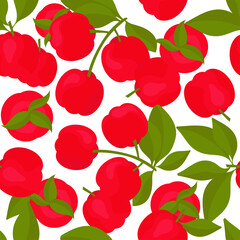 Acerola. An evergreen shrub. Seamless.