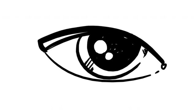 Animation of a flirtatious painted eye on a white background. A symbol of sight, seduction, love. 2D blinking eye in 4K with alpha channel.