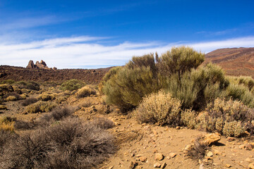 Los Roques de Garcia. Teide National Park, Tenerife, Canary Islands, Spain.