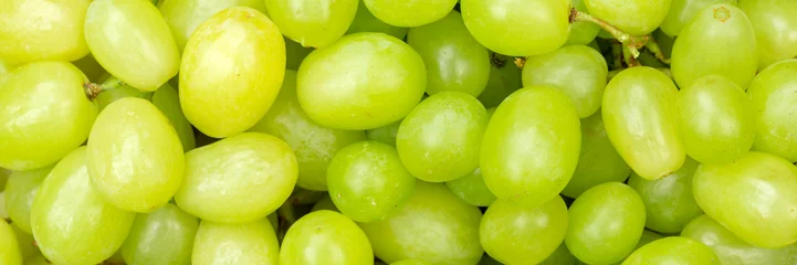 Fotobehang Groene druiven druif fruit fruit achtergrond van bovenaf panorama © Markus Mainka