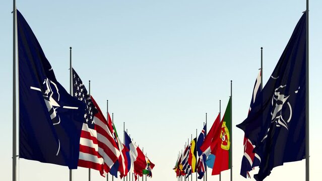 The flags of the member countries of the Nato Alliance against the sky. High quality FullHD footage