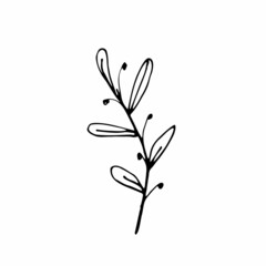 Vector set of doodle hand-drawn flowers. Collection of modern line illustrations.
