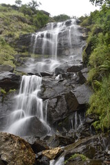 waterfall in the forest