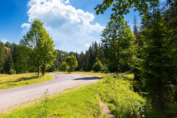country road through forested countryside. beautiful summer mountain landscape on a sunny day....