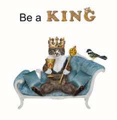 A colored cat in a gold crown with a scepter and a cup is sitting on a blue couch. Be a king. White...