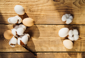 Eggs and a branch with white cotton flowers with sunny shadows on a wooden background. A holiday card.Easter Holiday.