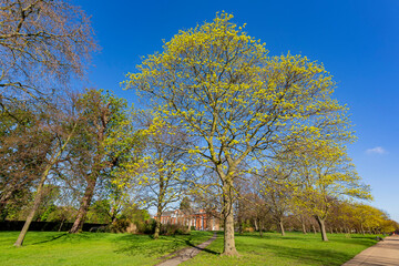Beautiful landscape around Hyde Park