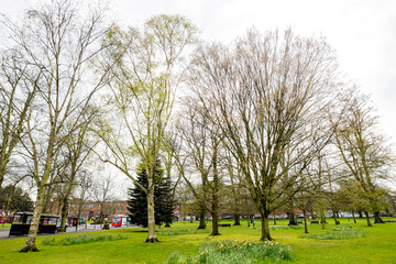 Overcast View Public Park Southampton