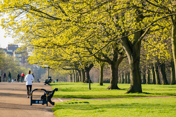 Beautiful landscape around Hyde Park
