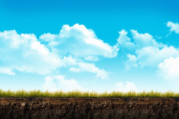 Cross section brown soil and green grass in under ground with blue sky in background - 482904398