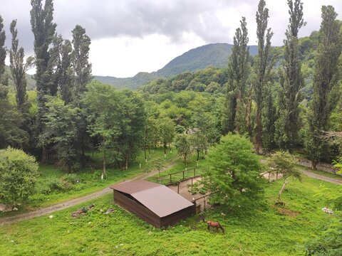 The Kaman Monastery, Abkhazia 
