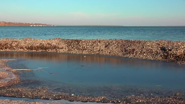 Storm emissions from shells of bivalve molluscs and algae, wetlands of Ukraine, Tiligul estuary