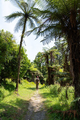 Obraz premium Tour on untouched Whanganui river and through the surrounding jungle, New Zealand