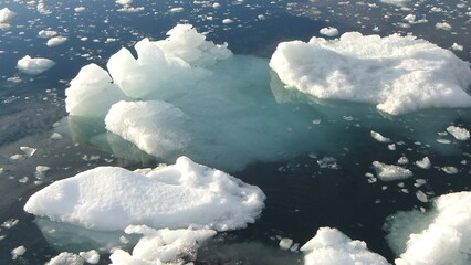 pływające growlery i bryły lodu zanurzone w przezroczystej morskiej wodzie w słoneczny dzień