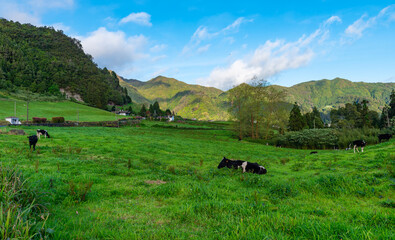 Rural landscapes of Sao Miguel island. Northern part. Azores, Portugal.