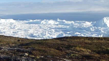 wybrzeże grenlandii pokryte delikatną trawą oraz morze pokryte krą i górami lodowymi w słoneczny dzień - 482907529