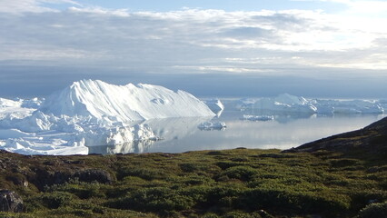 wybrzeże grenlandii pokryte delikatną trawą oraz morze pokryte krą i górami lodowymi w słoneczny dzień